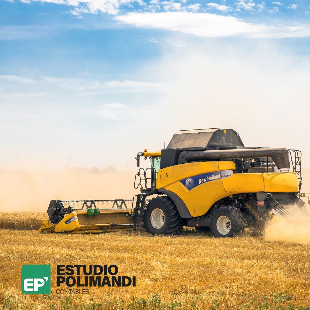estudio contable con especializacion en empresas agricolas polimandi